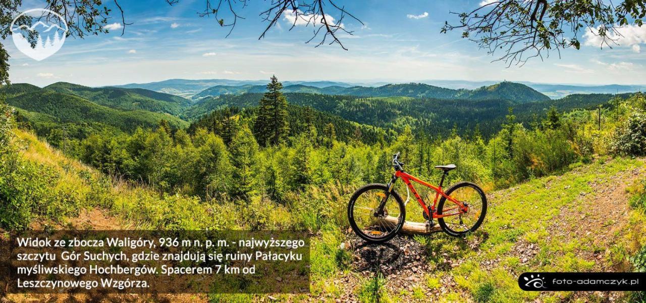Agroturystyka Leszczynowe Wzgorze Глушица Екстериор снимка