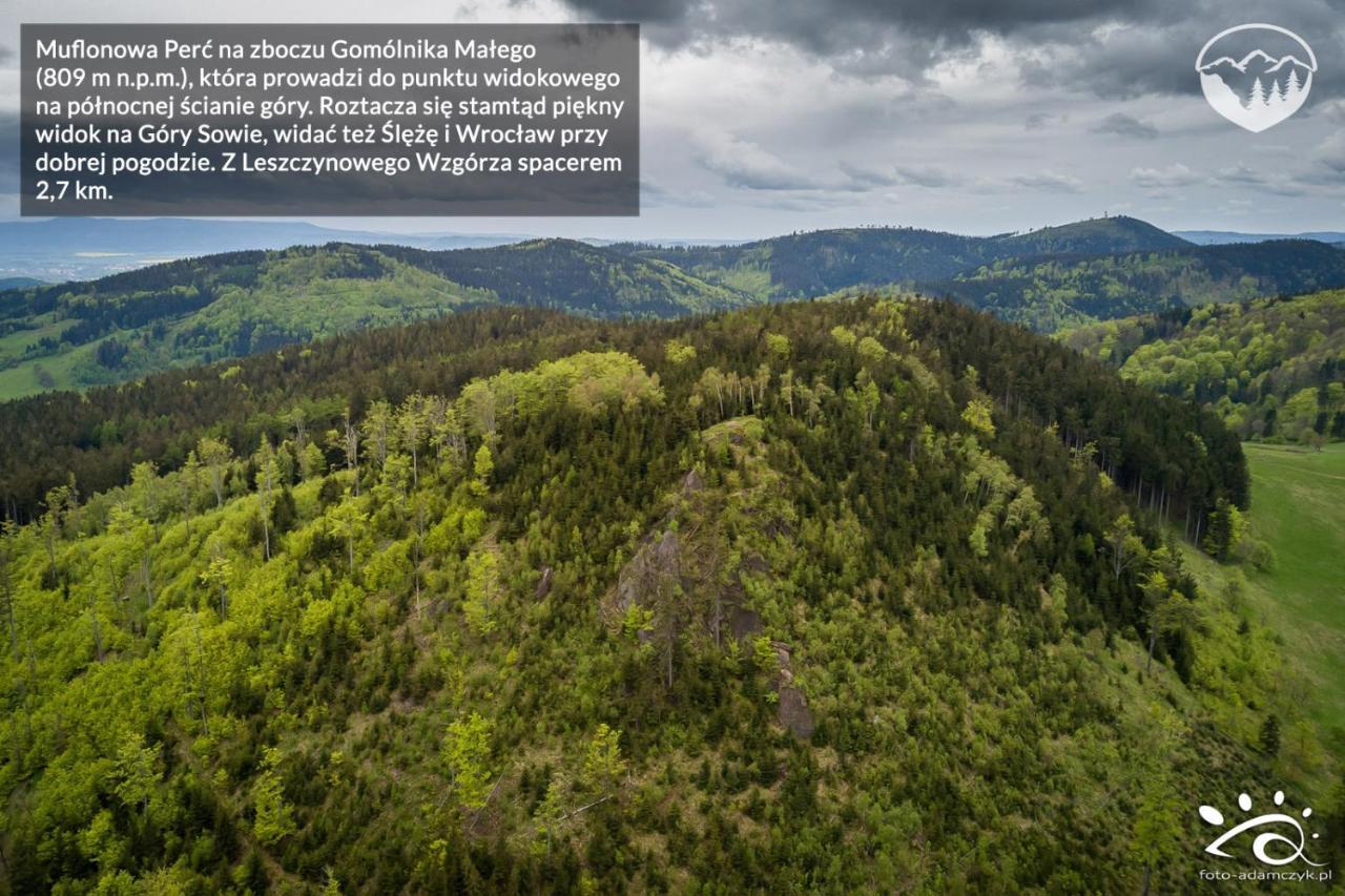 Agroturystyka Leszczynowe Wzgorze Глушица Екстериор снимка